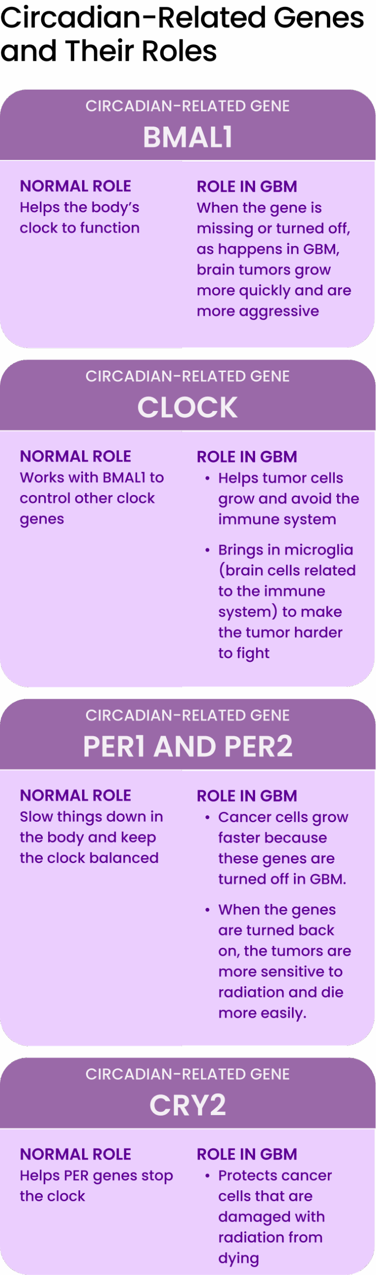 circadian related genes